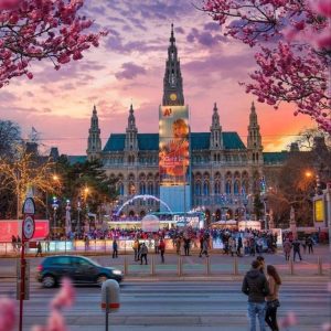 Виена - 2НП (Братислава • Парндорф • Шенбрун • Дунавска кула)